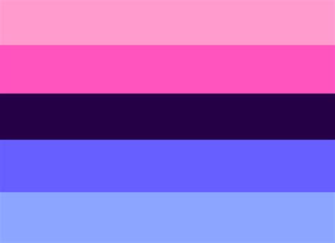 omni sexuality flag|Omni Flag & Omnisexuality Flag Meaning